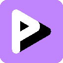 playpal logo
