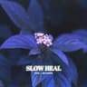 Slow Heal
